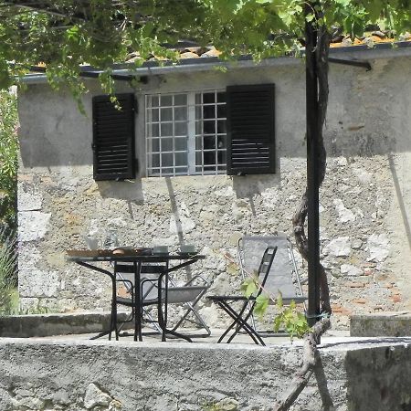 ساتورنيا Vignagrande Agriturismo المظهر الخارجي الصورة