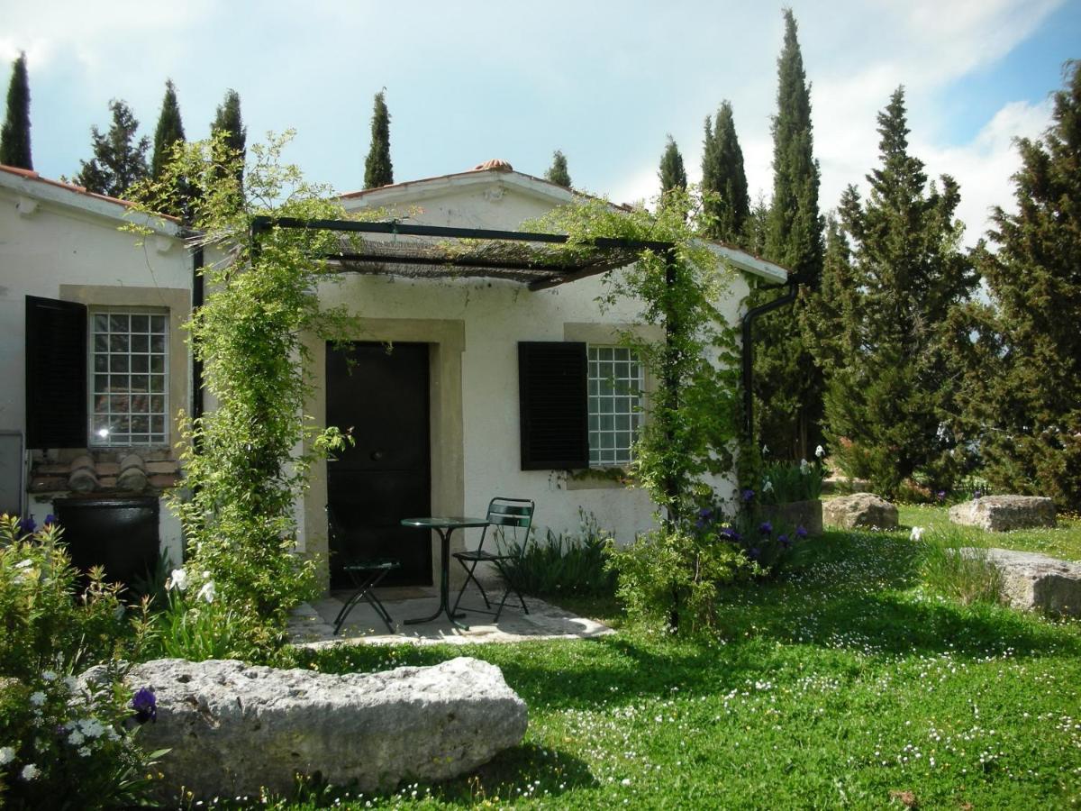 ساتورنيا Vignagrande Agriturismo المظهر الخارجي الصورة